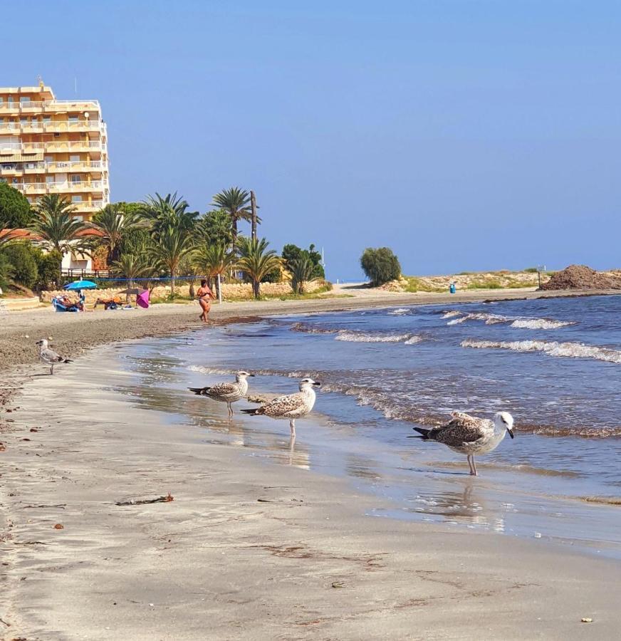 Sunflower Residence First Line By The Sea Santa Pola Exteriör bild